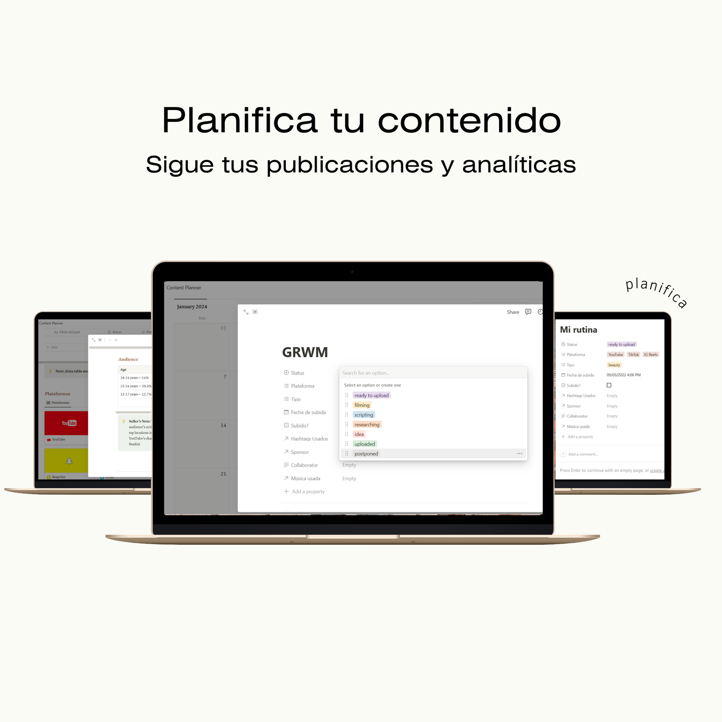 Plantilla Notion para Redes Sociales - UGC Planifica tu contenido