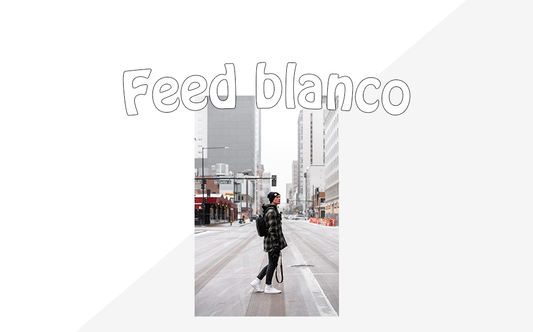 feed blanco lightroom