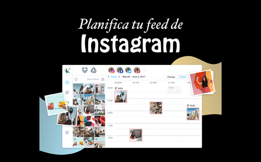 App para previsualizar Feed de Instagram